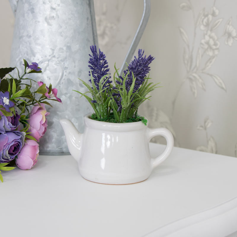 Small Lavender Pot Plant in White Ceramic Teapot